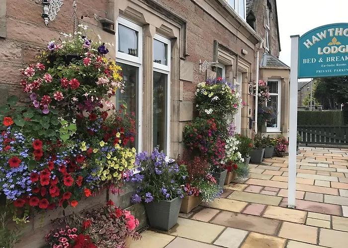 Hawthorn Lodge Guest House