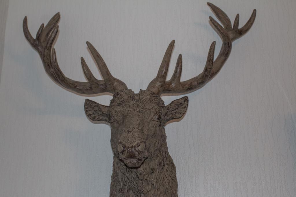 Hawthorn Bed & Breakfast 3*