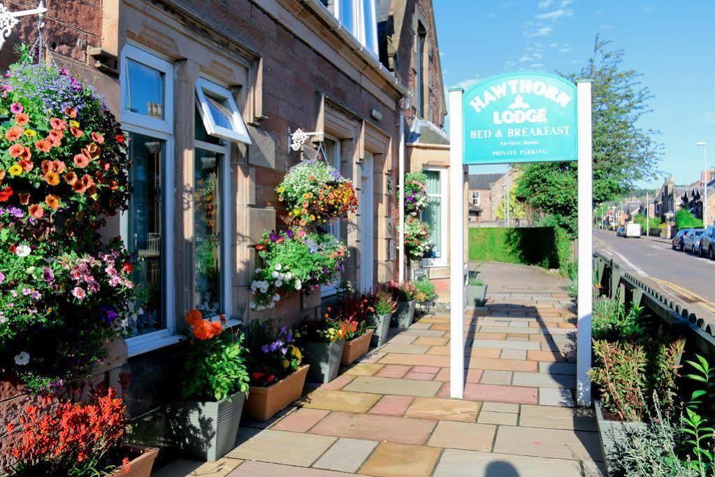 Hawthorn Inverness